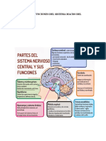 Imagenes y Conceptos Tripticos (Recuperado Automáticamente)