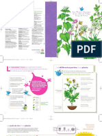 Les Plantes Sauvages de La Vallée de L'orge: ONA Avoir