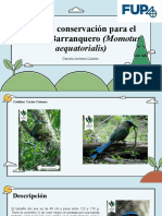 Plan de Conservación para El Andino Barranquero (Momotus: Aequatorialis)