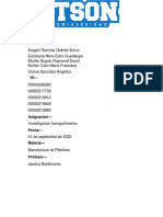 Investigación Homopolímeros