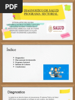 Diagnostico de Salud Programa Sectorial