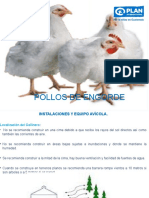 Modulo de Gallinas Ponedoras