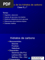 Metabolismo de Los Hidratos de Carbono: Clase 6 y 7