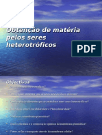 Obtenção de Matéria Pelos Seres Heterotróficos