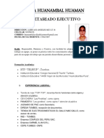 CV Actualizado