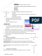 Funciones Biológicas de Las Proteínas