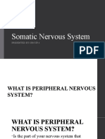 Somatic Nervous System