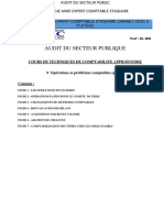 Audit Du Secteur Publique: Irie Bi Dje Aime Expert-Comptable Stagiaire Cabinet Ce2C Ii Plateau