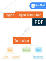 Bagian - Bagian Tumbuhan: Batang