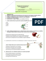 3º Básico Ciencias