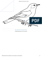 Dibujos para Colorear Pintar e Imprimir