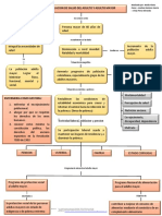 Adulto - Mapa Conceptual - Profe Narcisa