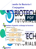 Bacterial Conjugation