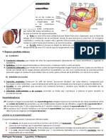 Biología Humana Resumen 1