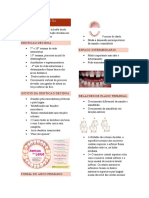 Desenvolvimento Da Oclusã1 RESUMO