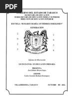 Informe de Observación Final