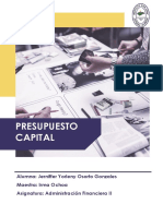 Informe Presupuesto Capital