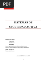 Seguridad Activa