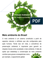 Proteção Ambiental No Bra