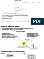 Reflejos y Regulación Del Movimiento