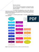 Figura 1. Esquema General de Purificación y Análisis de Una Determinada Proteína