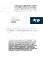 Documento