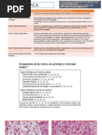 GLOMERULOPATIAS