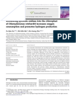 Introducing Pyruvate Oxidase Into The Chloroplast of Chlamydomonas Reinhardtii Increases Oxygen Consumption and Promotes Hydrogen Production