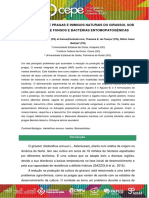 Distribuição de Pragas E Inimigos Naturais Do Girassol Sob Aplicação de Fungos E Bactérias Entomopatogênicas