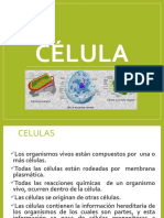 CELULAS Y VIRUS 2023 Farm y Bioq