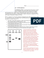 BIO 181 Lab Quiz 7-Electrophoresis - Answers