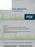 Gestion Ambiental: Dr. Florentino Vizcarra Pinto