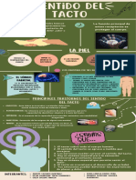 Infografia Sentido Del Tacto