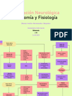 Valoración Neurológica