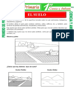 SESION Suelo Asctividades