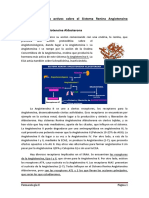 Tema 2: Fármacos Activos Sobre El Sistema Renina Angiotensina Aldosterona. Sistema Renina Angiotensina Aldosterona