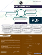 Respiration in Plants NEET