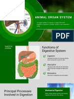 Green Modern Ecology Ecosystem Presentation Template