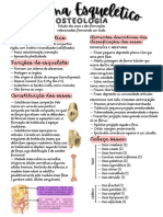 Sistema Esquelético - Imprimir