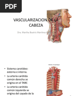 Vascularizacion de La Cabeza