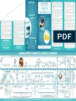 Diagrama Profético e Histórico de La Creación A La Recreación