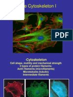 BY2201 EmmaC CytoskeletonIandII