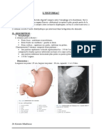 Anatomie ESTOMAC.2021