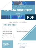 Equipo 1. Sistema Digestivo