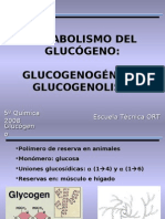 Glucógeno