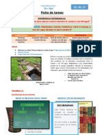 Ficha de Tareas: CC. SS. 1º