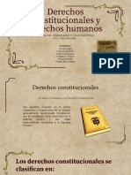 Derechos Constitucionales y Derechos Humanos