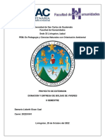 Informe de Proyecto Extension II Semestres