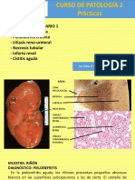 Anatopato2 Patología Urinaria