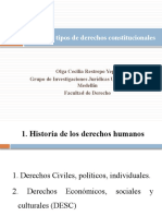 Noción y Tipos de Derechos Constitucionales